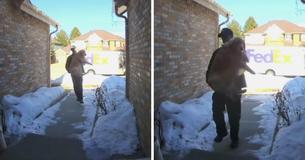 Delivery Driver Brings Family’s Lost Dog Home After She Ran Away
