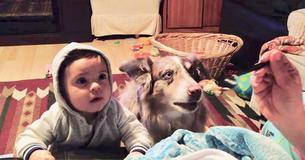 Une mère essaie de soudoyer son bébé avec des en-cas pour lui faire dire "Maman ", mais son chien le dit en premier