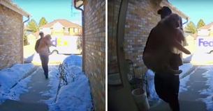 FedEx-koerier brengt verdwaalde hond naar huis nadat ze weggelopen was