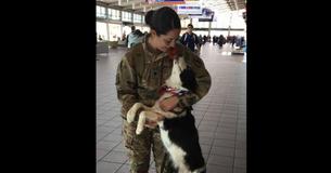 Une chienne n'arrive pas à cacher sa joie en regardant sa propriétaire soldat revenir d'un déploiement