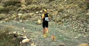 Streunender Welpe schließt sich dem Ultramarathon an und findet dabei einen neuen Vater