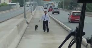 Un chauffeur de bus applaudis après s'être arrêté pour sauver un chien au milieu de l'autoroute