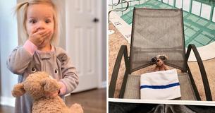 Le personnel d'un hôtel envoie des photos du chien en peluche d'une petite fille après qu'elle l'ai oublié à l'hôtel