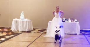 Bride Dances With Her “Best Dog” At Wedding
