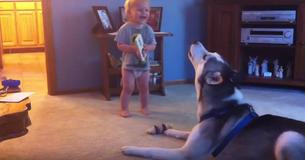 Un bébé a une conversation hilarante avec un Husky dans la salle familiale