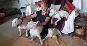 Un homme a forcé sa femme à choisir entre ses chiens de sauvetage et lui - Elle a choisi les chiens