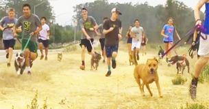 High School Running Team Supports Lonely Shelter Dogs By Taking Them On Their Morning Runs