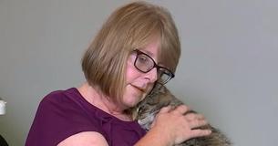 Cat Goes Missing For More Than A Decade And Reunites With Owner After 11 Years Away
