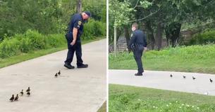 Houston Police Officers Escort Lost Ducklings Back To Their Mom While Monitoring Closed Parks