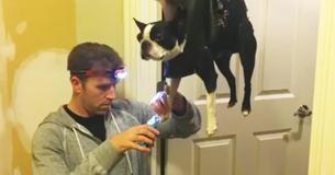 Un chien déteste se tailler les griffes donc le père fait une astuce innovante de toilettage en créant des trous dans sa sacoche