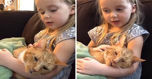 Moment émouvant lorsque la petite fille chante "You are my Sunshine" à son chat décédé.