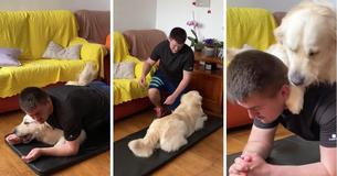 Golden Retriever Funnily Hijacks Owner’s Workout