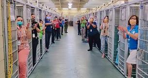 Surge In Adoptions Cleared Out This Animal Shelter’s Kennel For The First Time Ever Amid Coronavirus Pandemic