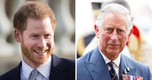 Le prince Harry ressemble au prince Charles quand il était jeune et les fans sont excités