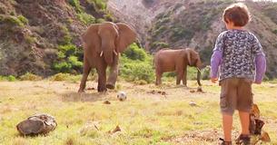 Un éléphant fait fondre les cœurs en jouant au football avec un garçon de 5 ans