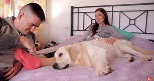 Un adorable Golden Retriever ne permet pas à son propriétaire de toucher sa femme