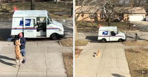 Dog Waits Outside Daily To Give His Favorite Mailman A Hug