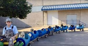 Un homme de 80 ans construit un "train de chiens" pour emmener les chiens abandonnés à l'aventure
