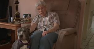 Ce groupe de bonnes sœurs décide d'adopter un vieil pit-bull de 9 ans