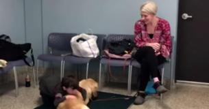 5-Year-Old With Autism Has No Friends But Meets New Dog And Mom Is Left Amazed By Change