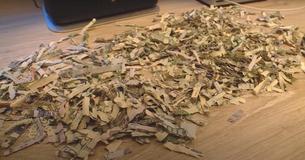 Des parents découvrent que leur enfant a déchiqueté 1000 dollars qu'ils ont économisés pour rembourser une dette