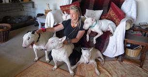 Un homme a obligé sa femme de choisir entre lui et ses chiens et elle finit par choisir les chiens