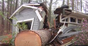 Une femme de 80 ans fait ses prières après qu'un arbre de 30 mètres de haut tombe sur son garage