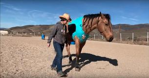 Un'allenatrice di cavalli partecipa alla "Git Up Challenge" con il suo Mustang, alzando la posta in gioco per gli altri partecipanti