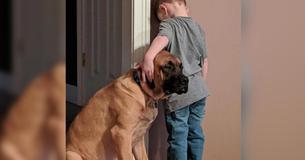 Un petit garçon se fait arrêter par un médecin et son chien loyal décide de le soutenir
