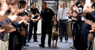 K9 Officer Receives Guard Of Honor As He Retires After Eight Years Service