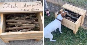 Man Builds ‘Stick Library’ For The Dogs At The Park