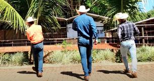 Des cow-boys font monter la température avec une danse en ligne magnétique