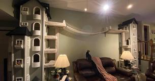 Man Builds Fancy Apartment Towers For His Cats And The Internet Wants More