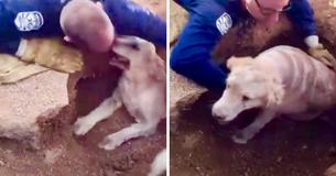 Golden Retriever Trapped In Underground Hole – She Shows Gratitude To Firefighters Who Save Her Life