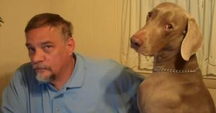Un propriétaire échoue comiquement à ignorer son chien