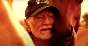Le "Luck Ranch" de Willie Nelson compte plus de soixante-dix chevaux sauvés de l'abattoir