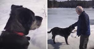 Senior Saves Abandoned Puppy Unaware That Years Later The Dog Would Save His Life