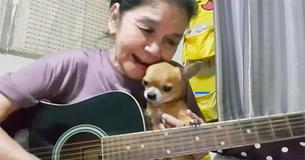 Woman Performs 'Hey Jude' Beautifully While Tiny Puppy Enjoys Music