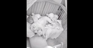 Dad Uploaded Video Of His 100-Pound Pit Bull Sleeping In Crib With Toddler