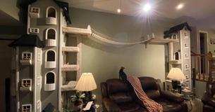 Cat Owner Builds Two Kitty Towers And Now People Want To Buy His Plans