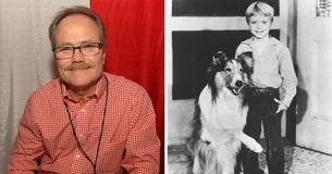 Kleiner Timmy von "Lassie" feiert seinen 70. Geburtstag und ist kaum wiederzuerkennen