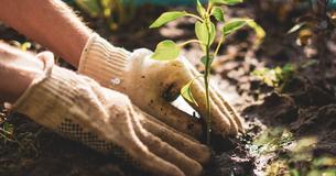 Study Says Gardening Can Increase Emotional Well-Being As Much As Biking And Walking