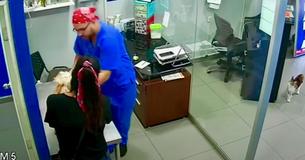 Un chat considère que le vétérinaire fait du mal au chien et tente par conséquent de le sauver