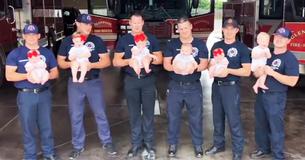 Une adorable séance de photos de sept pompiers avec leurs sept bébés 