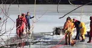 Farmers Are Heroes After Saving Two Drowning Clydesdale Horses Trapped In Frozen Lake