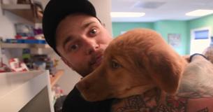 Olympic Skier Rescues 90 Dogs From South Korean Meat Farms As One Shuts Down