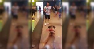 Un chien regarde fixement son propriétaire après trois ans de séparation avant de réaliser que c'est une joyeuse retrouvaille