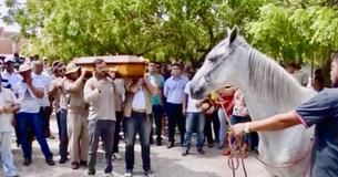 Un cheval s'effondre en larmes à l'enterrement de son propriétaire dans un moment émouvant