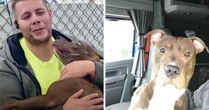 Man Travels Three Thousand Miles To Save Dog From Being Euthanized