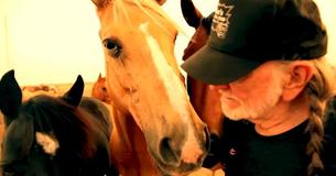 Willie Nelson Owns ‘Luck Ranch’ Where Over 70 Rescue Horses Live Cheerful Lives